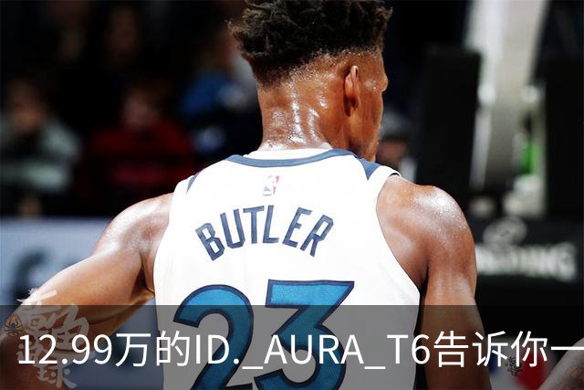 12.99万的ID. AURA T6告诉你一分钱能买两分货